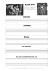 Koala-Steckbriefvorlage-sw-3.pdf
